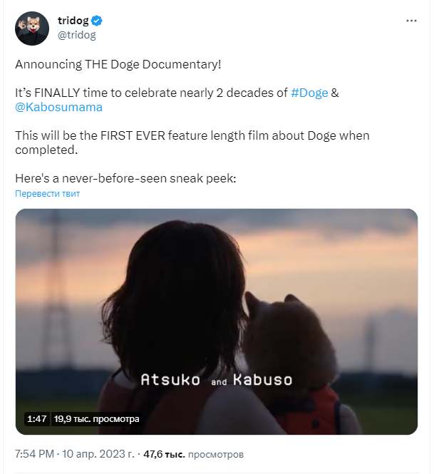 
О собаке Кабосу, ставшей символом Dogecoin, снимут документальный фильм 