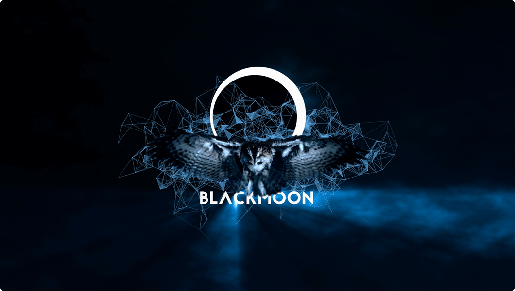 blackmoon crypto ico price