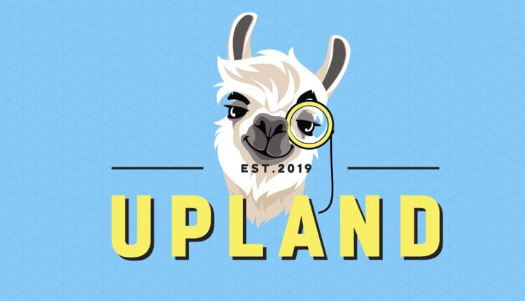 Что ждёт онлайн-игру UpLand в будущем