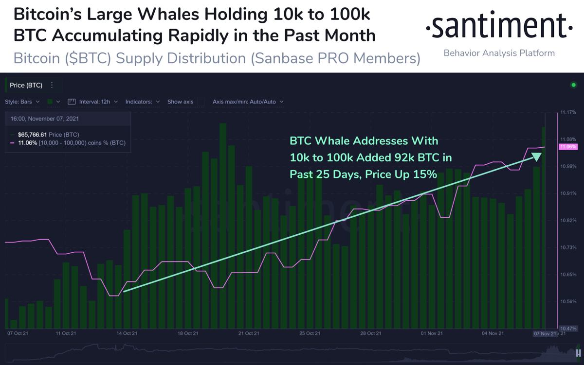 Bitcoin-Whale-Accumulation