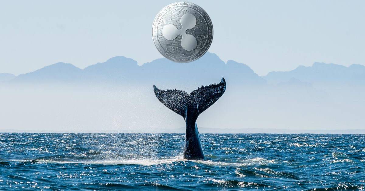 
За неделю криптовалютные киты купили XRP на $223 млн                