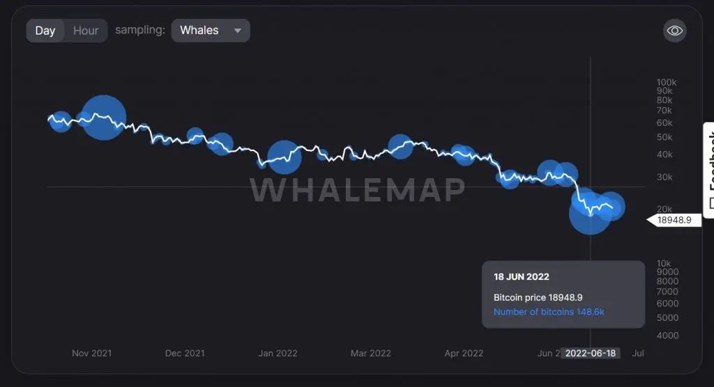 WhaleMap-1024x556