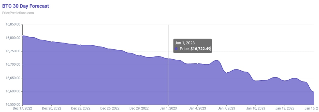 Bitcoin-30-day-price-prediction-chart-1024x360
