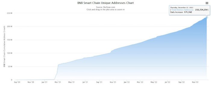 bnb-chain-addresses-record