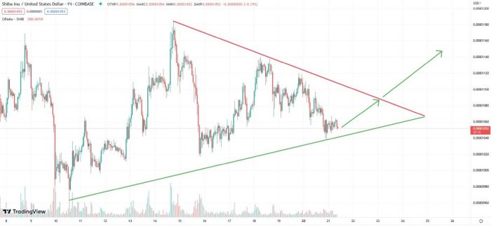 shib-price-triangle-march