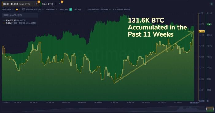 btc-whales-accumulated-graph