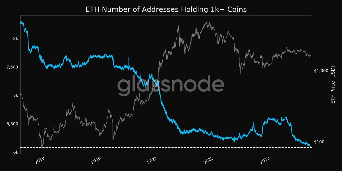 eth-addresses-holding-1000