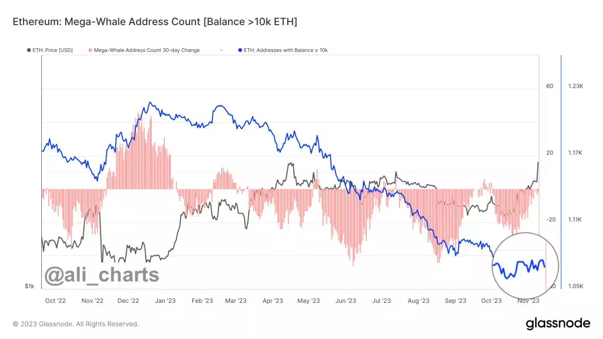 eth-price-whales-count-november