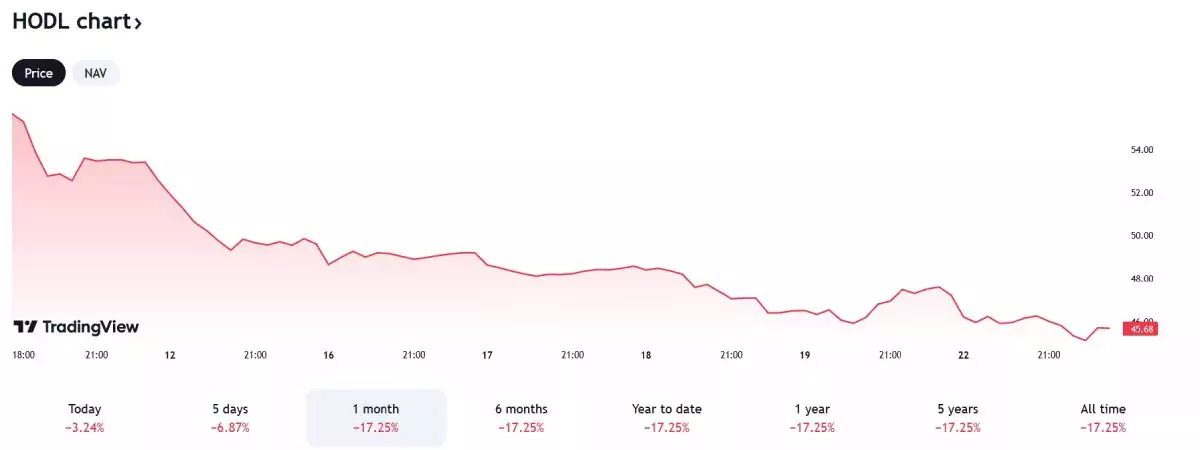 hodl-price-change-january