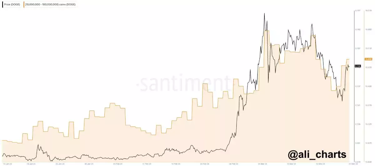 doge-whales-buy-21-march