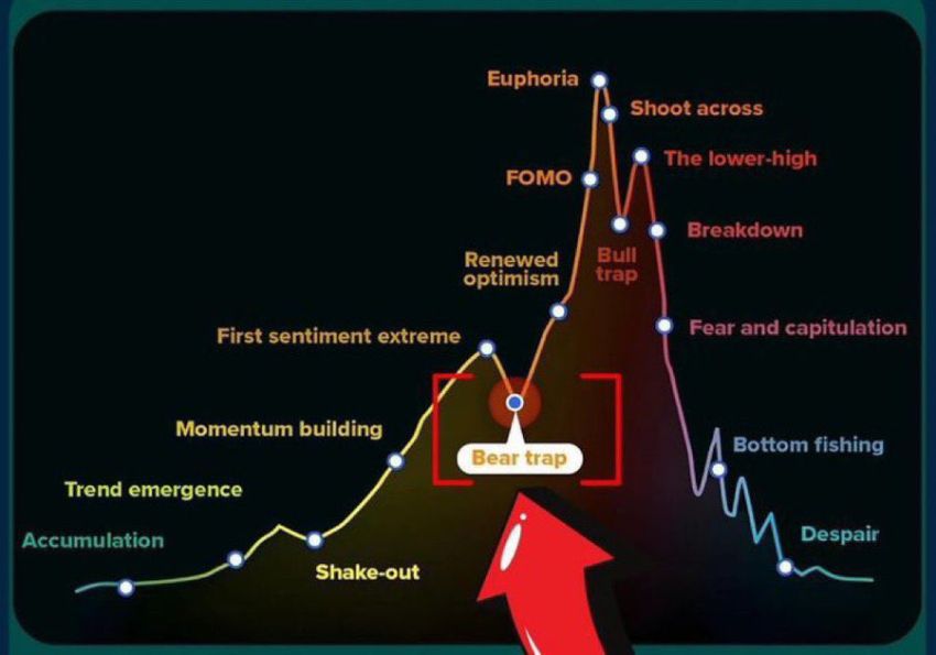 bear-trap-market-cycle