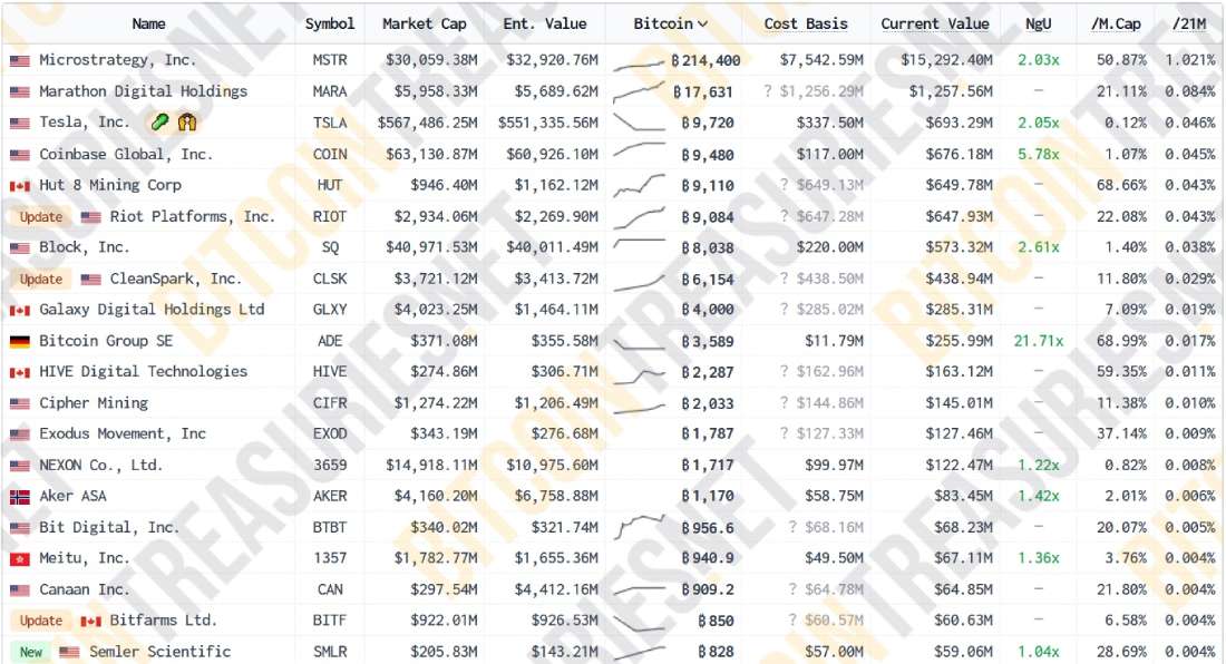 top-20-companies-btc-holdings