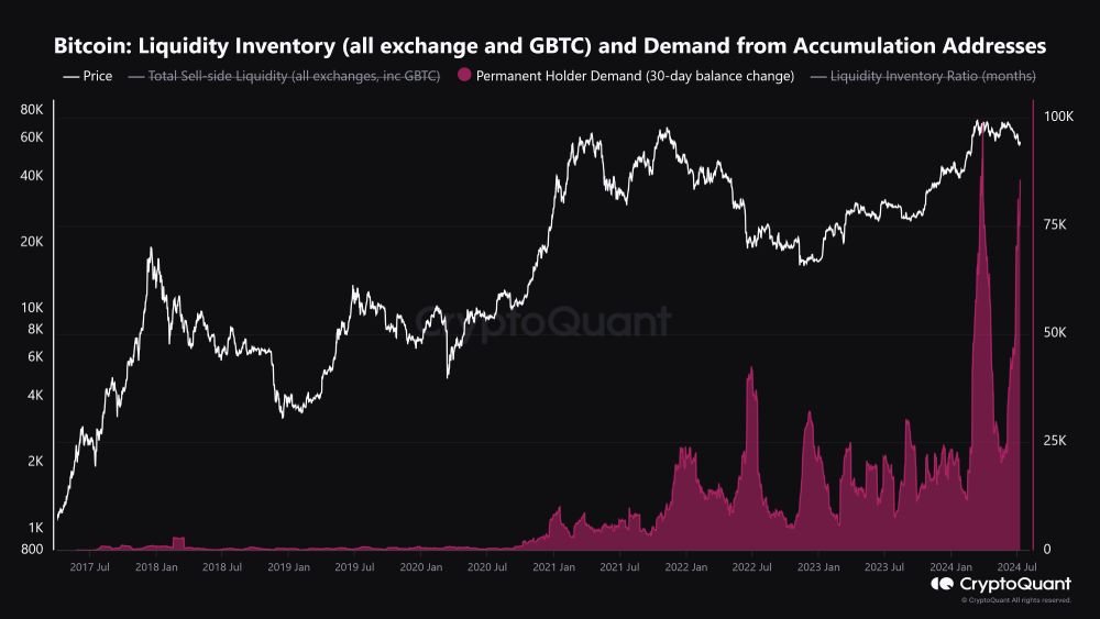 btc-accumulation-permanent-holders-july