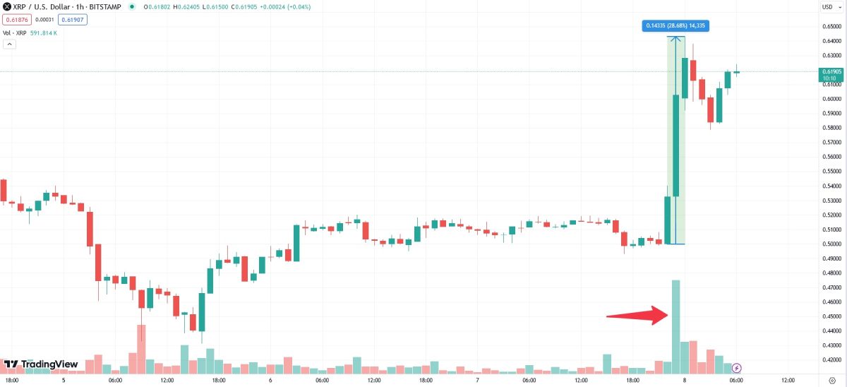 xrp-pump-court-decision