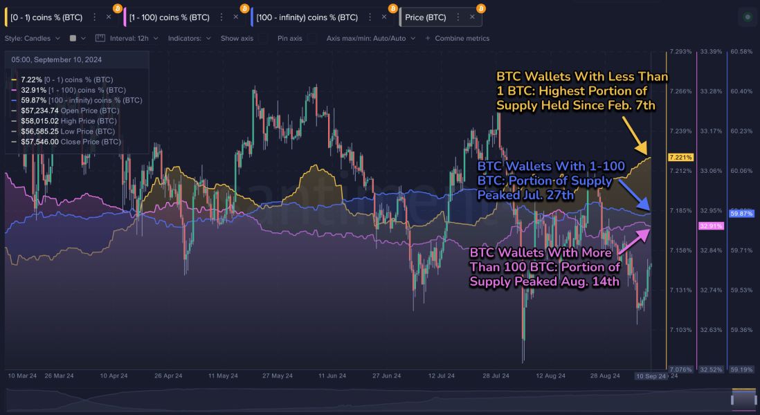 btc-wallets-change-12-september
