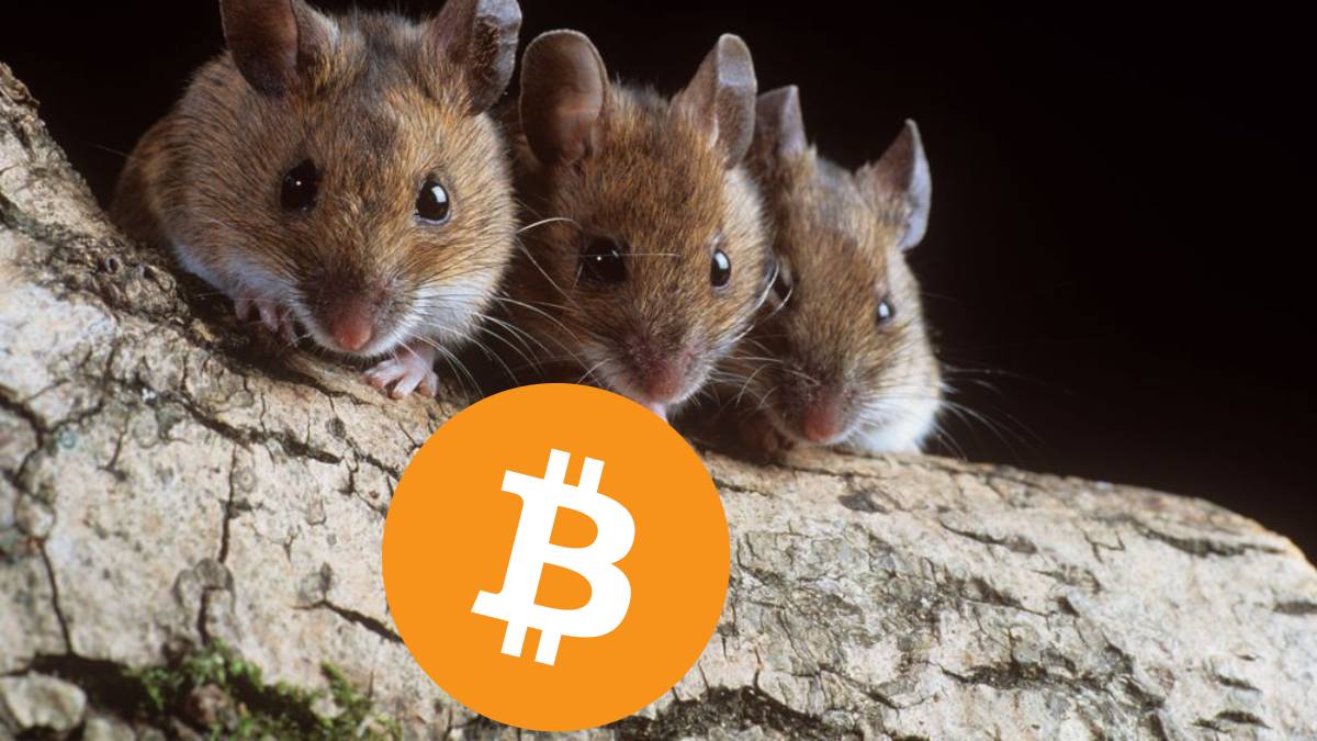 coinmag