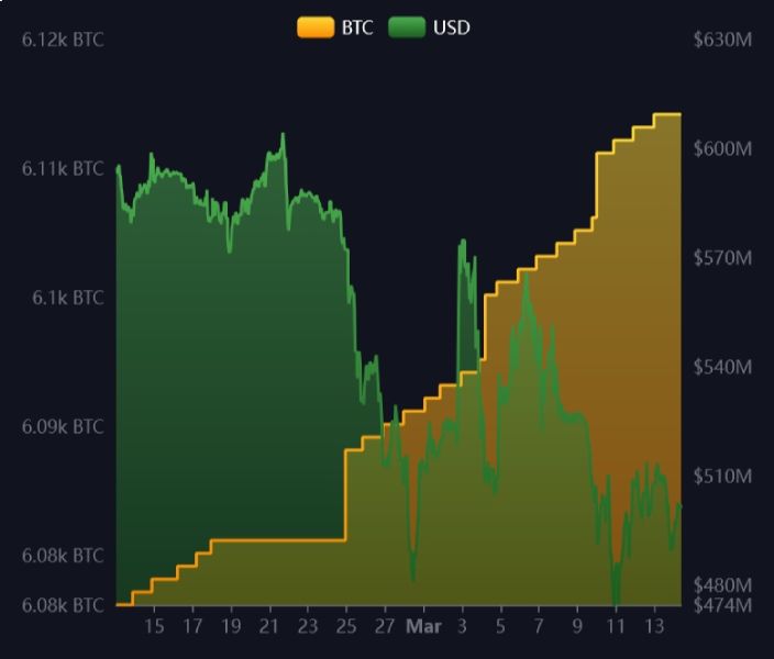 btc-salvador-holdings-14-march