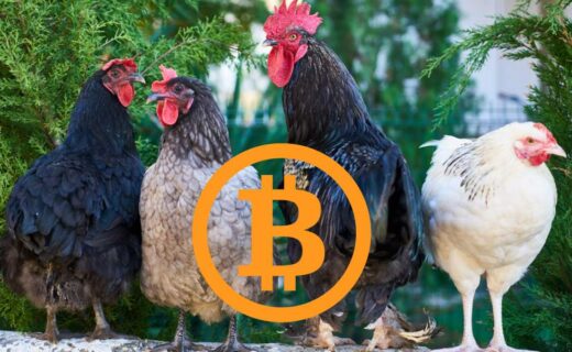 coinmag