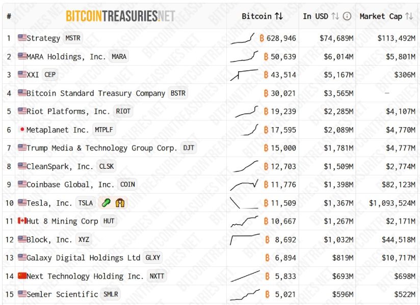 btc-treasury-companies-rating-12-august
