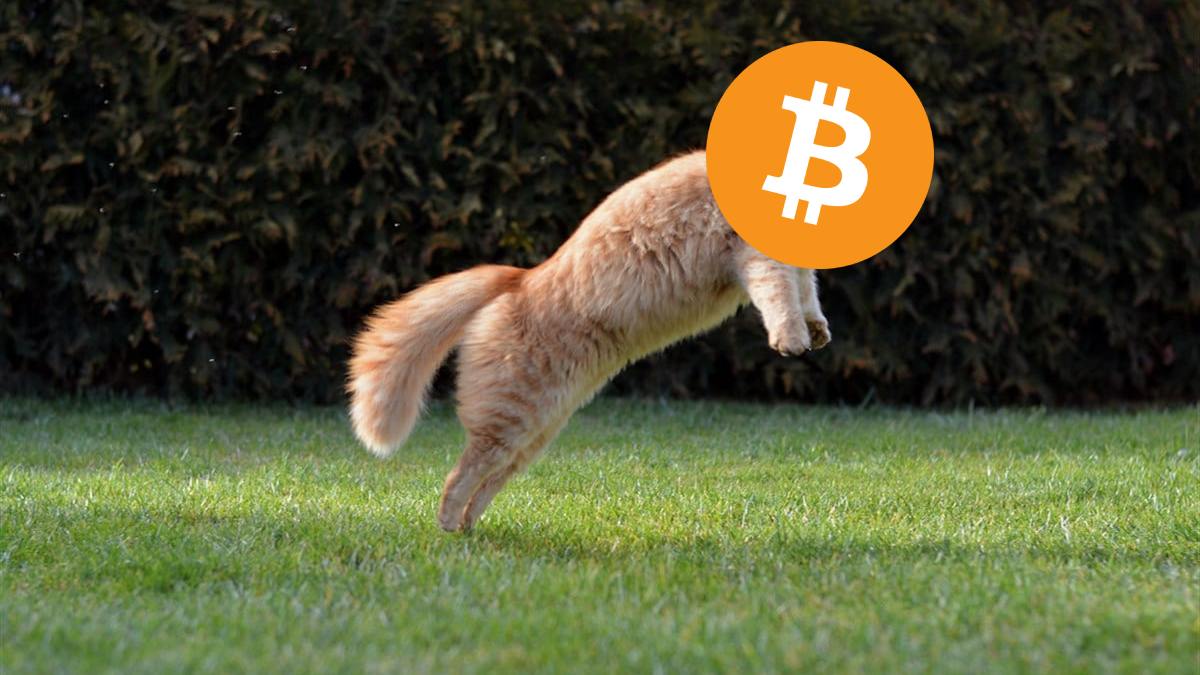 coinmag