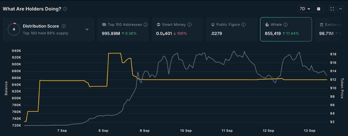 myx-whales-accumulate-14-september