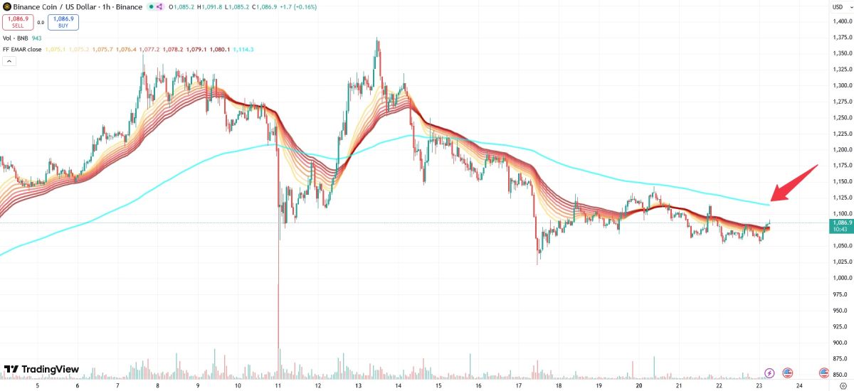 bnb-price-23-october