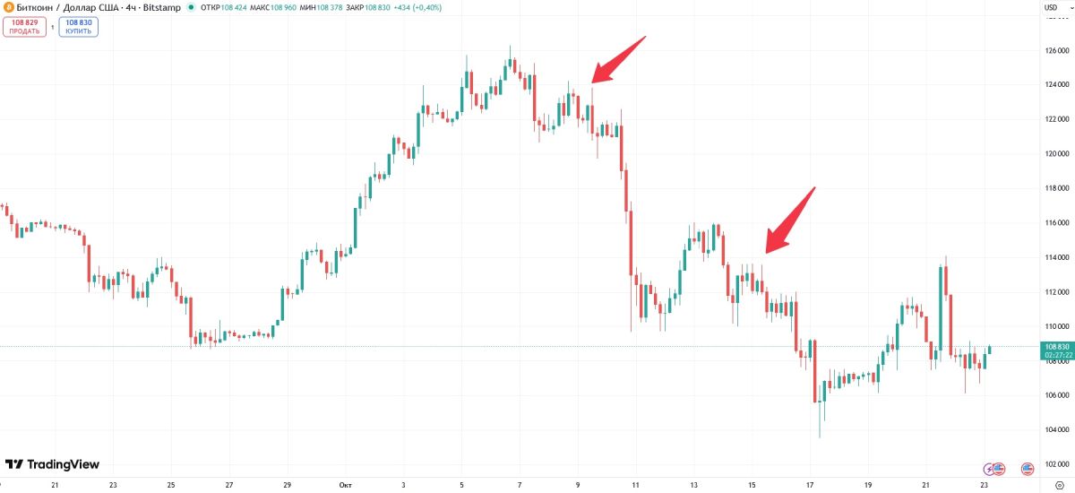 greene-btc-buys