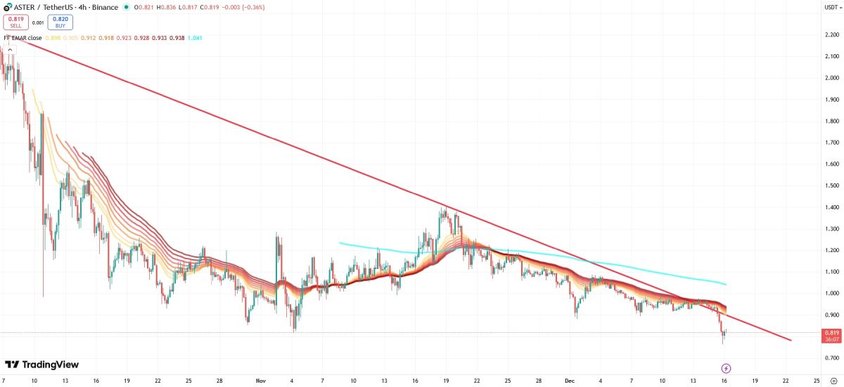 aster-bear-trend-16-december